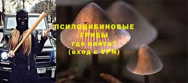 экстази Богданович