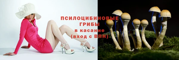 экстази Богданович