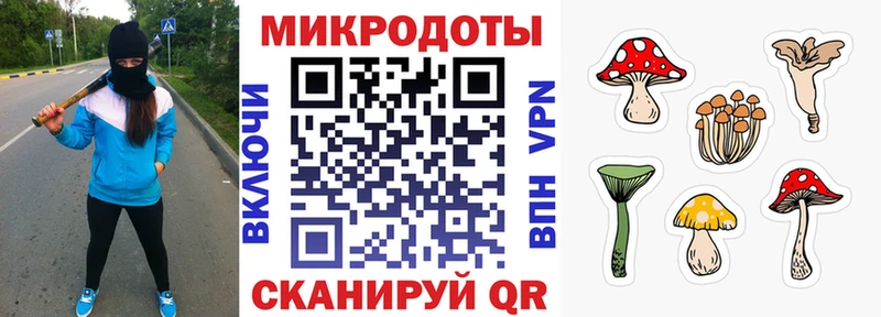 дарнет шоп  Тюмень  Галлюциногенные грибы мицелий 